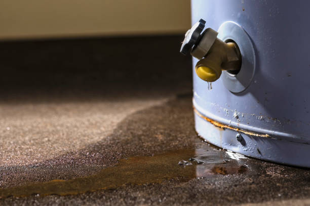 Best Water damage restoration insurance claims  in Alta, IA