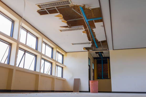 Best Water damage cleanup near me  in Alta, IA