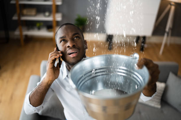 Best Water damage cleanup near me  in Alta, IA