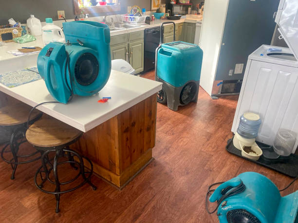 Best Emergency water damage restoration  in Alta, IA