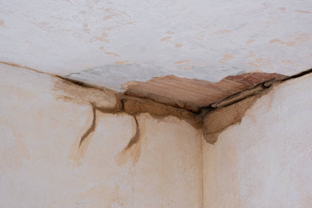 Step-by-Step Water Damage Restoration Procedure