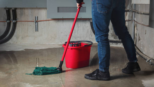 Best Residential water damage restoration  in Alta, IA