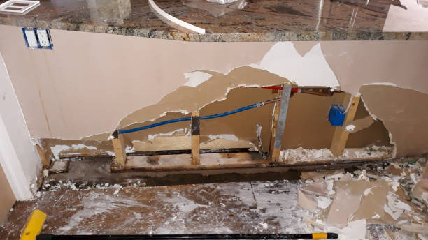 Best Water damage restoration near me  in Alta, IA