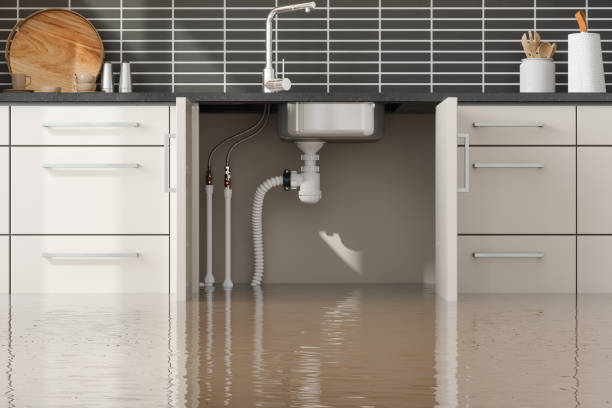 Best Emergency water damage restoration  in Alta, IA