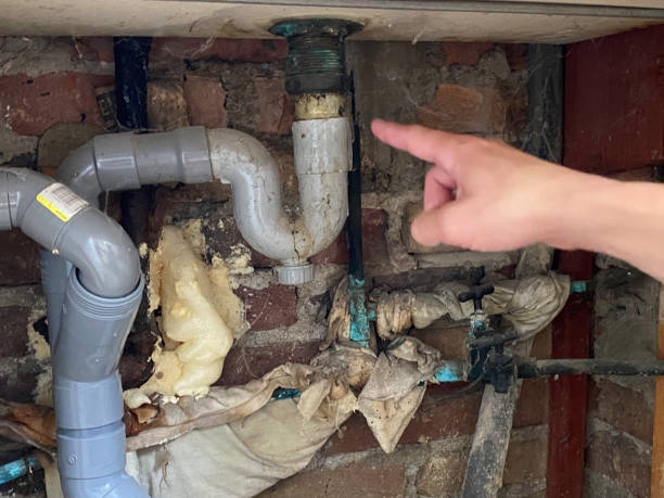 Best Commercial water damage restoration  in Alta, IA