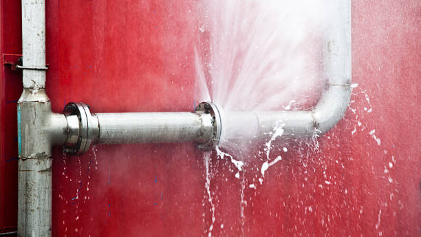  Alta, IA Water damage restoration Pros